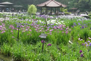 Shirokita Park