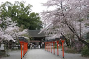 Hirano-jinja Shrine