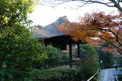 The autumnal leaves of Koetsu-ji. 