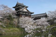 Koriyama-jo Castle