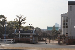 Mint and Sakuranomiya Park