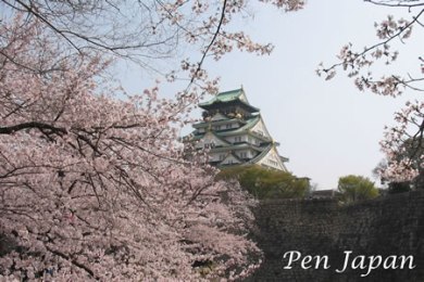 The cherry tree of Osaka-jo.