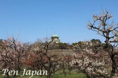 The autumnal leaves of Osaka-jo. 