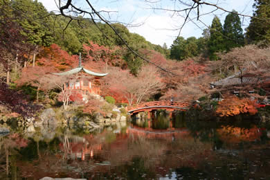 The autumnal leaves of Daigo-ji. 