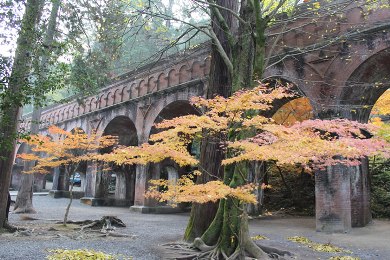 The autumnal leaves of Nanzen-ji. 
