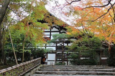 The autumnal leaves of Ryoan-ji. 