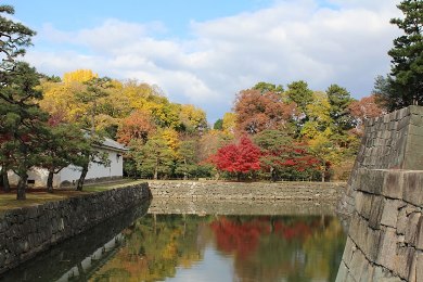 The autumnal leaves of Nijo-jo. 