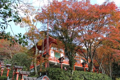 The autumnal leaves of Kurama-dera.