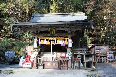 The autumnal leaves of Yuki-jinja. 