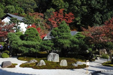 The autumnal leaves of Konkai-Komyo-ji. 