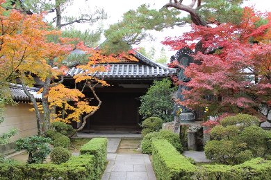 The autumnal leaves of Myoshin-ji. 