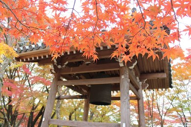 The autumnal leaves of Jojakko-ji. 
