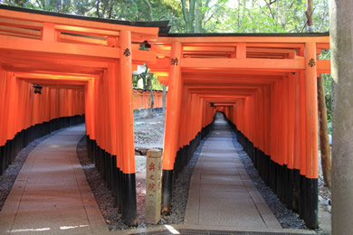 Fushiminari-taisha.