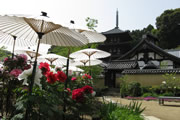 Taime-dera Temple