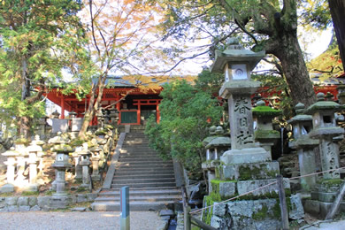 The autumnal leaves of Kasuga-taisha. 