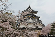 Hikone-jo Castle