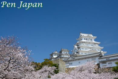 The cherry tree of Himeji castle.